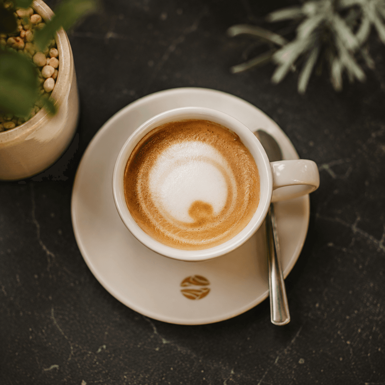 Macchiato (G)